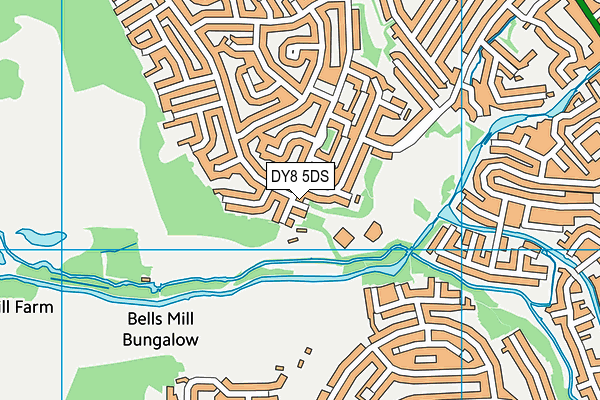 DY8 5DS map - OS VectorMap District (Ordnance Survey)