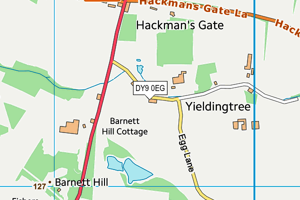 DY9 0EG map - OS VectorMap District (Ordnance Survey)