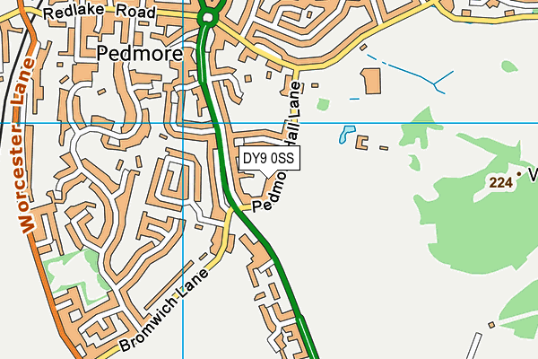 DY9 0SS map - OS VectorMap District (Ordnance Survey)