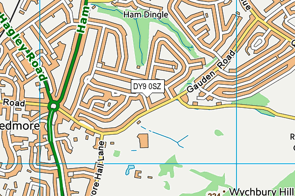 DY9 0SZ map - OS VectorMap District (Ordnance Survey)