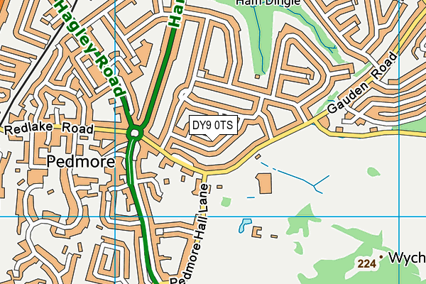 DY9 0TS map - OS VectorMap District (Ordnance Survey)