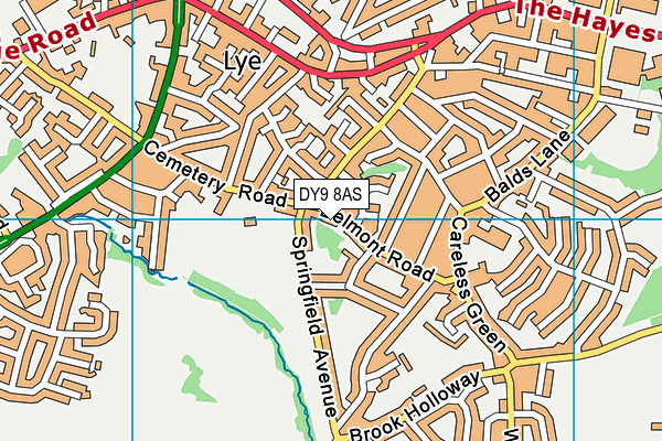 DY9 8AS map - OS VectorMap District (Ordnance Survey)