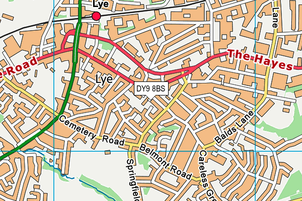DY9 8BS map - OS VectorMap District (Ordnance Survey)