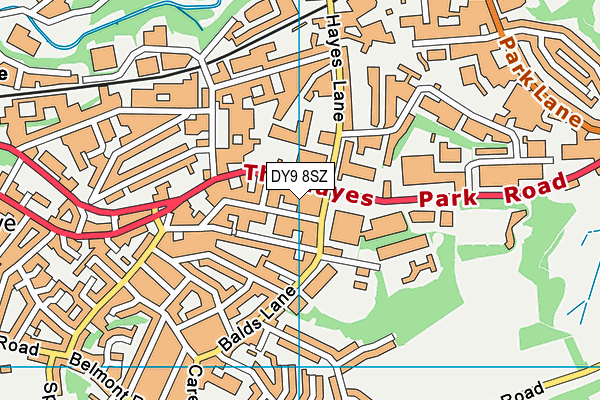 DY9 8SZ map - OS VectorMap District (Ordnance Survey)