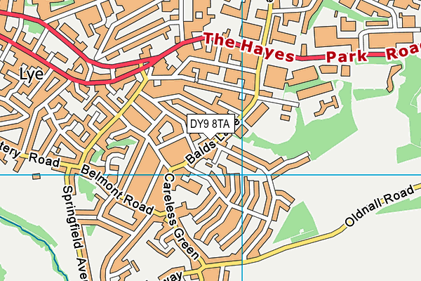 DY9 8TA map - OS VectorMap District (Ordnance Survey)