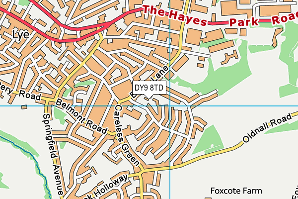 DY9 8TD map - OS VectorMap District (Ordnance Survey)
