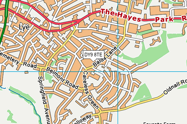 DY9 8TE map - OS VectorMap District (Ordnance Survey)