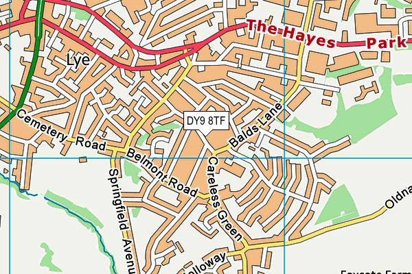 DY9 8TF map - OS VectorMap District (Ordnance Survey)