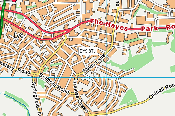 DY9 8TJ map - OS VectorMap District (Ordnance Survey)