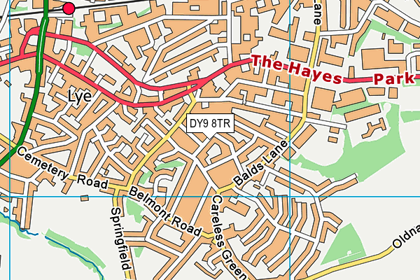 DY9 8TR map - OS VectorMap District (Ordnance Survey)