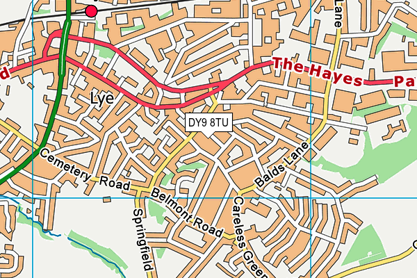 DY9 8TU map - OS VectorMap District (Ordnance Survey)