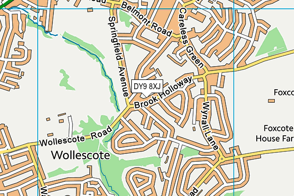 DY9 8XJ map - OS VectorMap District (Ordnance Survey)