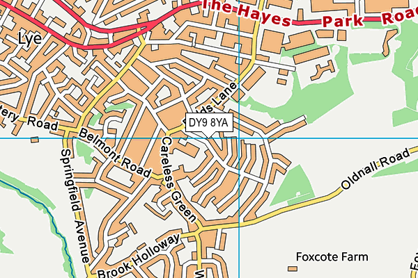 Wollescote Primary School map (DY9 8YA) - OS VectorMap District (Ordnance Survey)