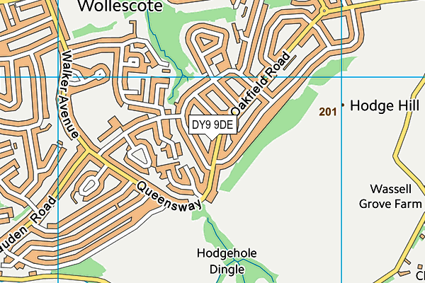 DY9 9DE map - OS VectorMap District (Ordnance Survey)