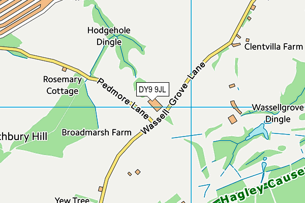 DY9 9JL map - OS VectorMap District (Ordnance Survey)
