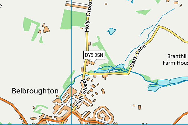 DY9 9SN map - OS VectorMap District (Ordnance Survey)