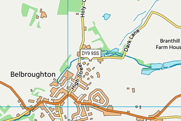 DY9 9SS map - OS VectorMap District (Ordnance Survey)