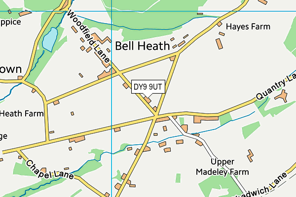 DY9 9UT map - OS VectorMap District (Ordnance Survey)