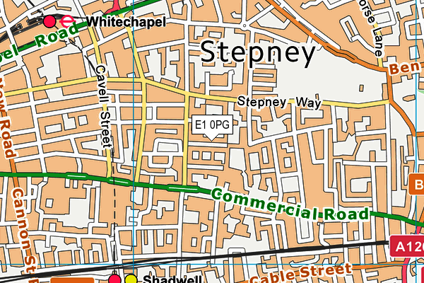 E1 0PG map - OS VectorMap District (Ordnance Survey)