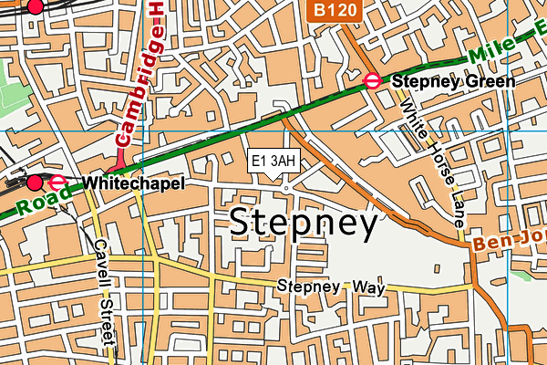 E1 3AH map - OS VectorMap District (Ordnance Survey)