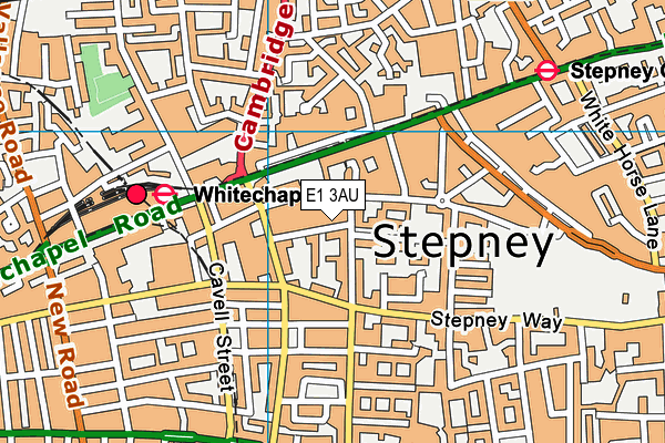 E1 3AU map - OS VectorMap District (Ordnance Survey)