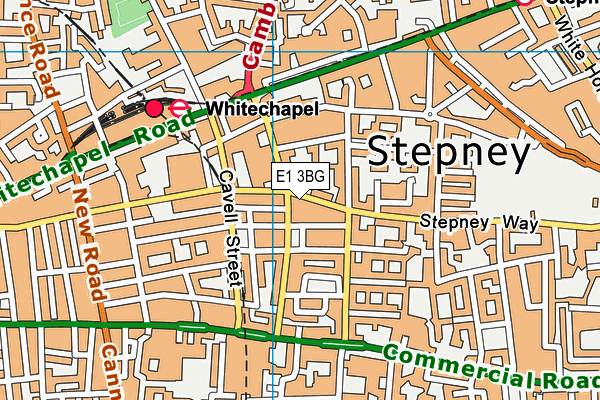 E1 3BG map - OS VectorMap District (Ordnance Survey)