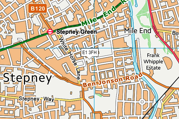 E1 3FH map - OS VectorMap District (Ordnance Survey)