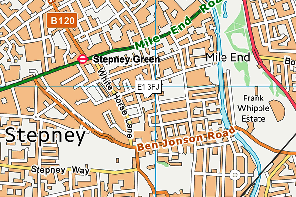 E1 3FJ map - OS VectorMap District (Ordnance Survey)