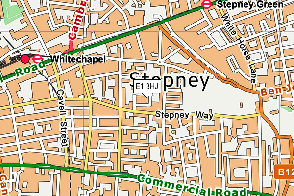 E1 3HJ map - OS VectorMap District (Ordnance Survey)