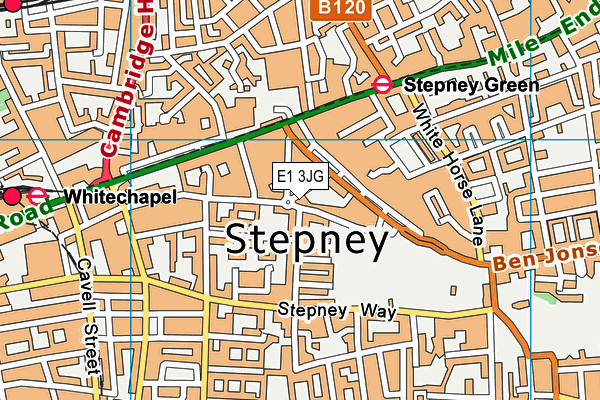 E1 3JG map - OS VectorMap District (Ordnance Survey)