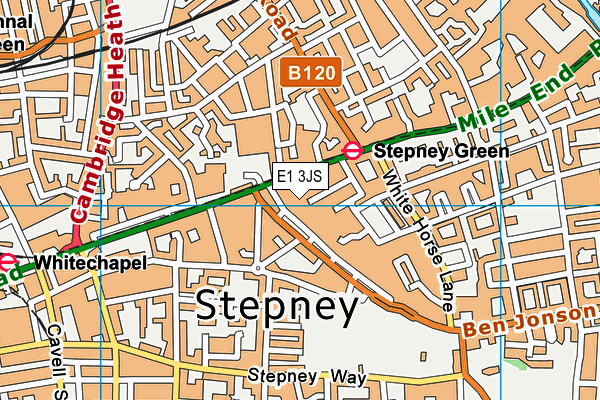 E1 3JS map - OS VectorMap District (Ordnance Survey)