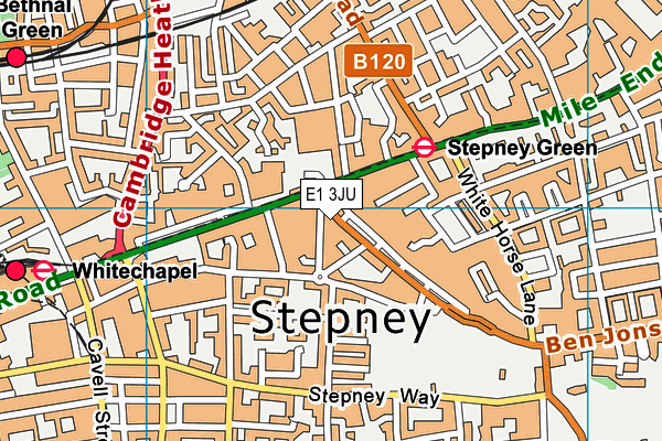 E1 3JU map - OS VectorMap District (Ordnance Survey)