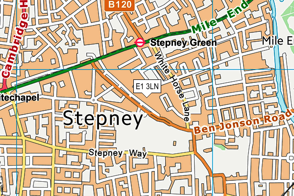 E1 3LN map - OS VectorMap District (Ordnance Survey)