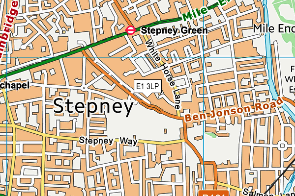 E1 3LP map - OS VectorMap District (Ordnance Survey)