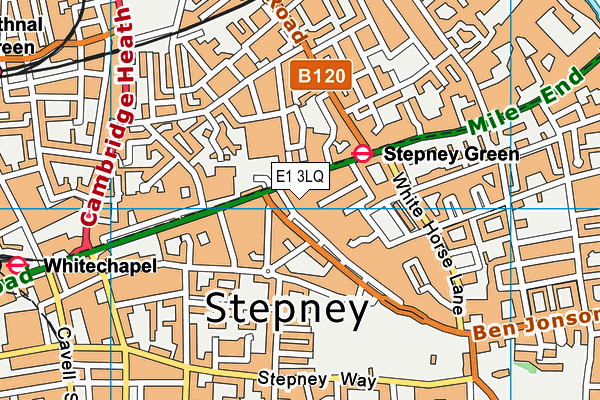 E1 3LQ map - OS VectorMap District (Ordnance Survey)