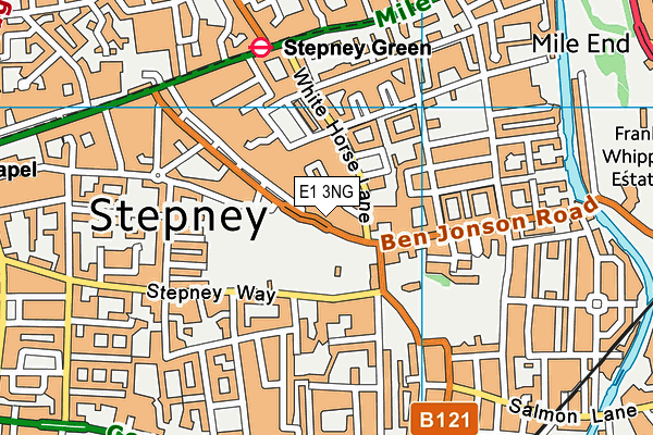 E1 3NG map - OS VectorMap District (Ordnance Survey)