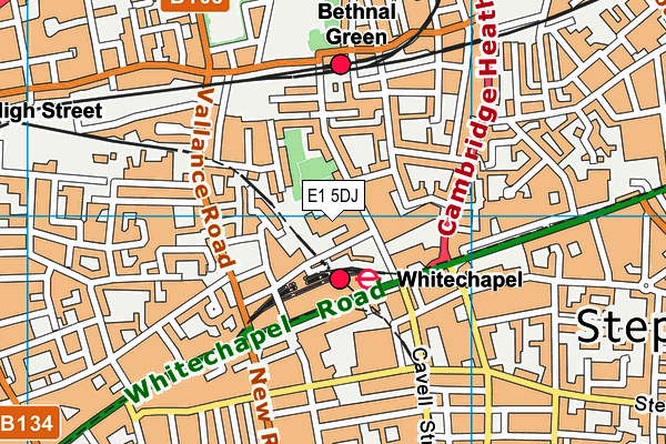 Swanlea School map (E1 5DJ) - OS VectorMap District (Ordnance Survey)
