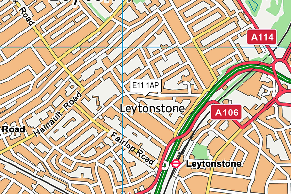 E11 1AP map - OS VectorMap District (Ordnance Survey)