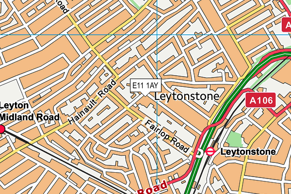 E11 1AY map - OS VectorMap District (Ordnance Survey)