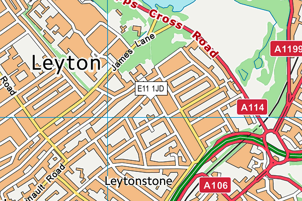Leytonstone School map (E11 1JD) - OS VectorMap District (Ordnance Survey)