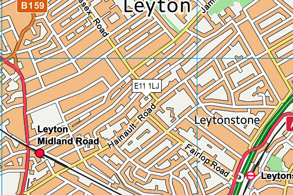E11 1LJ map - OS VectorMap District (Ordnance Survey)