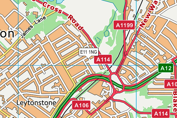 E11 1NG map - OS VectorMap District (Ordnance Survey)