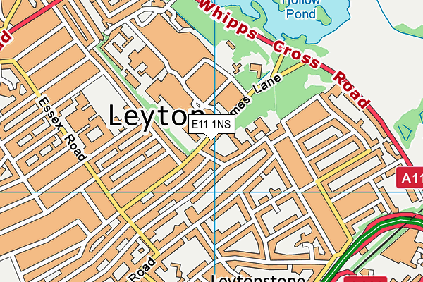 Leytonstone School map (E11 1NS) - OS VectorMap District (Ordnance Survey)