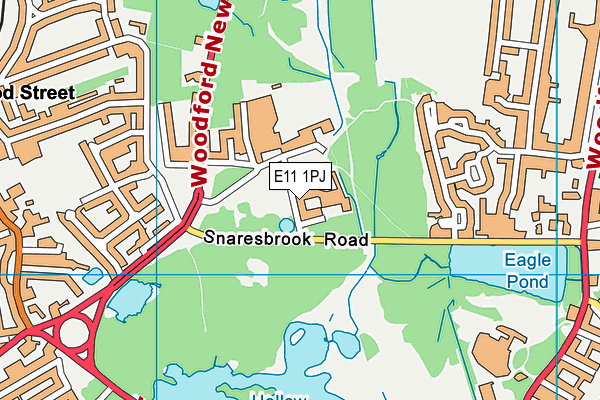 E11 1PJ map - OS VectorMap District (Ordnance Survey)