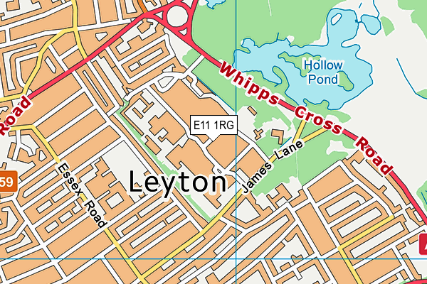 E11 1RG map - OS VectorMap District (Ordnance Survey)