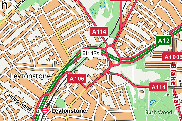 E11 1RX map - OS VectorMap District (Ordnance Survey)