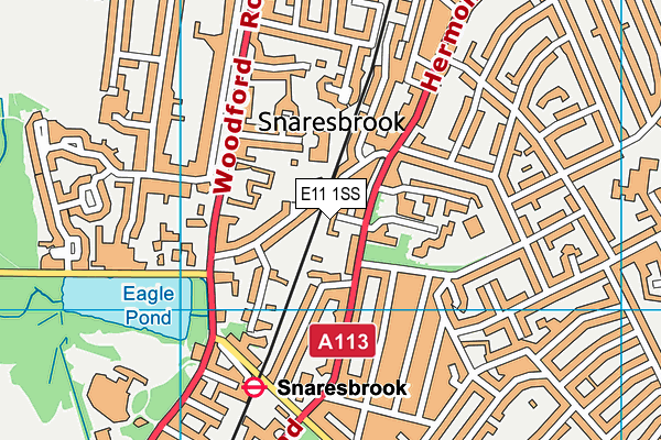 E11 1SS map - OS VectorMap District (Ordnance Survey)