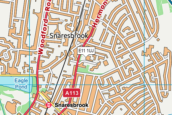 E11 1UJ map - OS VectorMap District (Ordnance Survey)