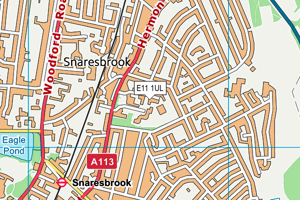 E11 1UL map - OS VectorMap District (Ordnance Survey)