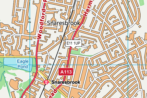 E11 1UP map - OS VectorMap District (Ordnance Survey)